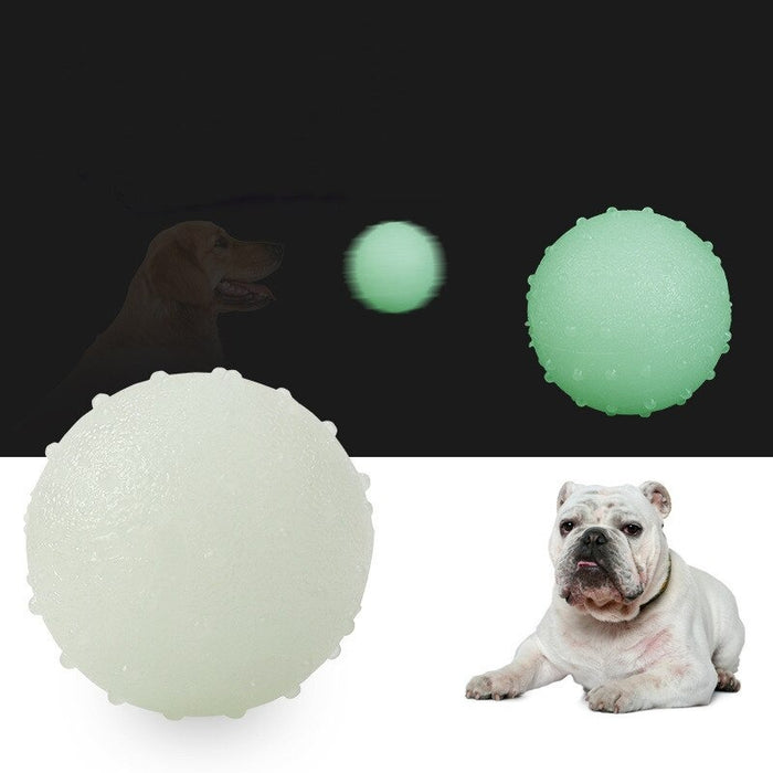 Dog Toys Solid Luminous Rubber