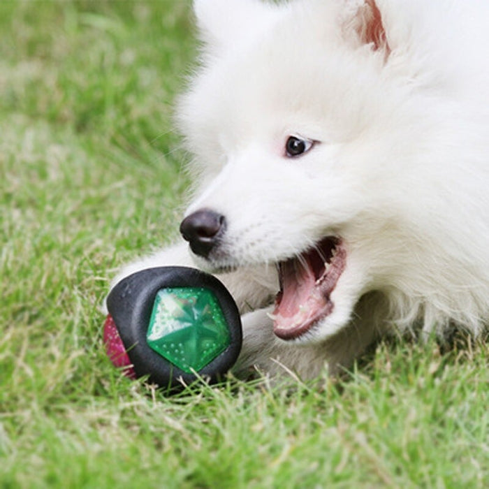 Dog Toys Sound Ball