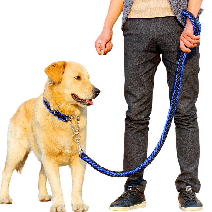 Dog Leash For Dog Collar