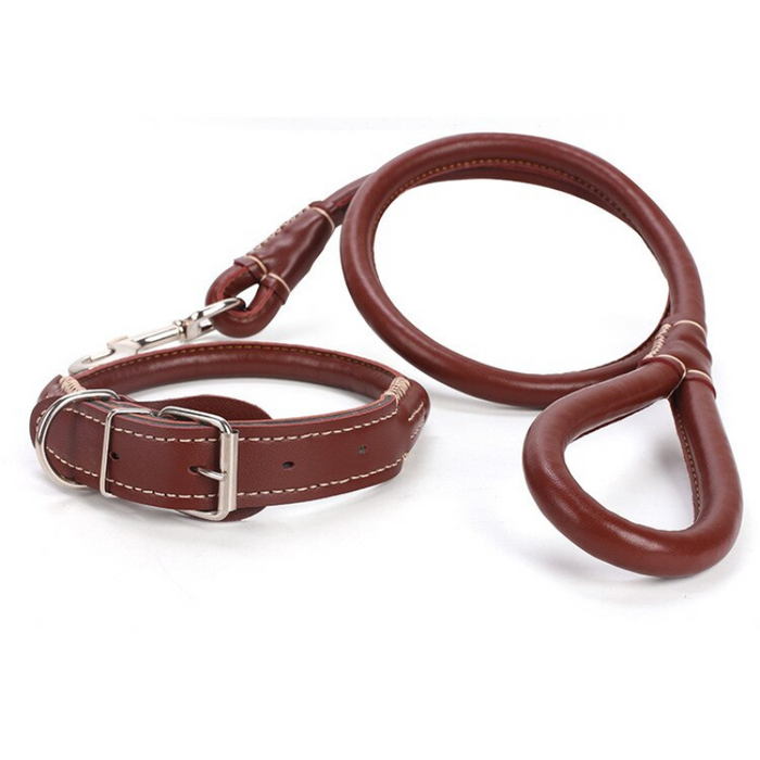 Leather Dog Collar And Leash Set