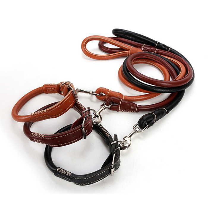 Leather Dog Collar And Leash Set