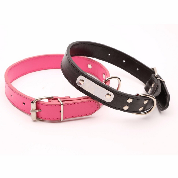 Pet Dog Leather Collar