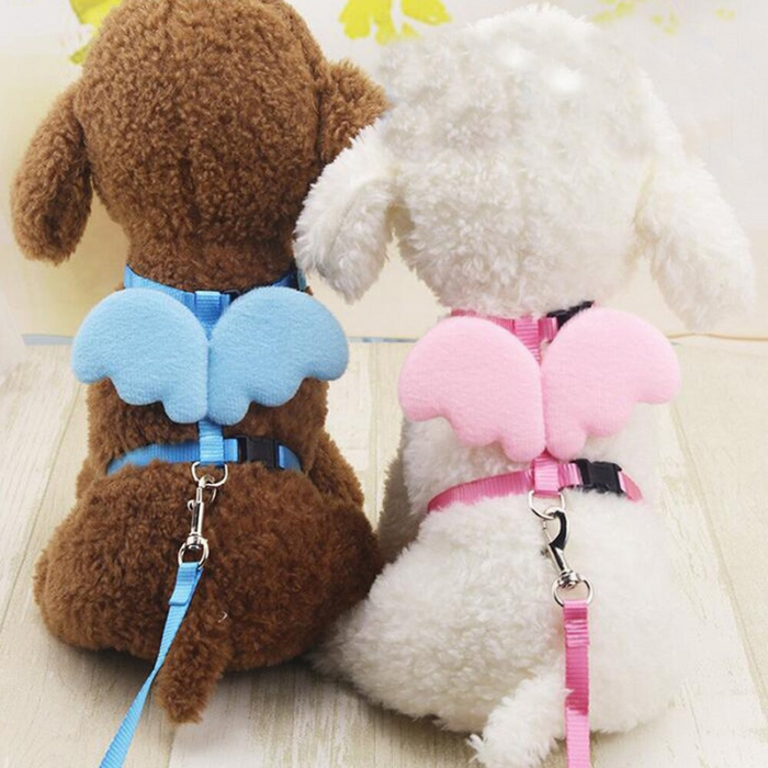Cute Angel Pet Dog Leashes And Collars Set