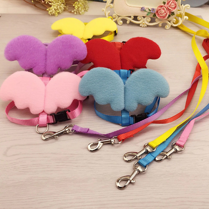 Cute Angel Pet Dog Leashes And Collars Set