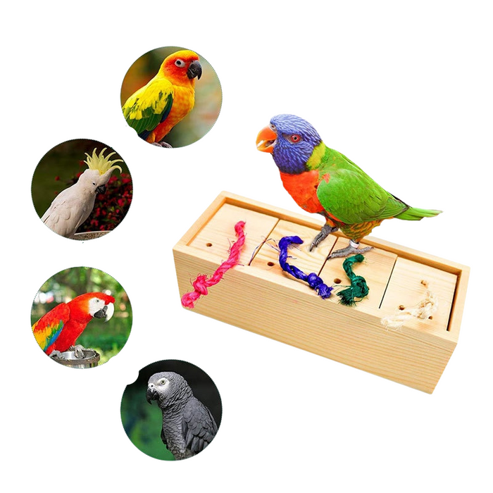 Bird Training Toy Accessories