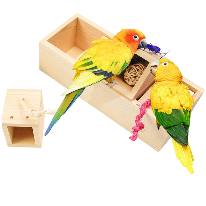 Bird Training Toy Accessories