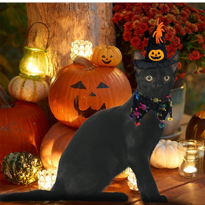 Spooky Cat Halloween Hat