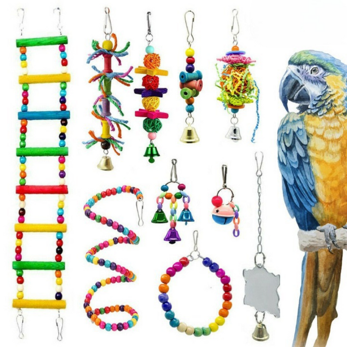 10 Pieces Bird Toys Set