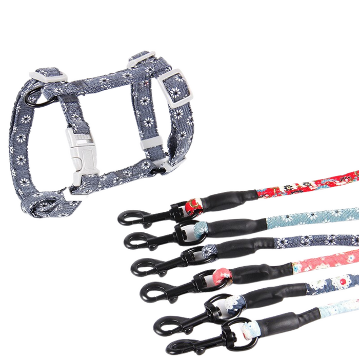 Traction Rope Harness And Leash Set