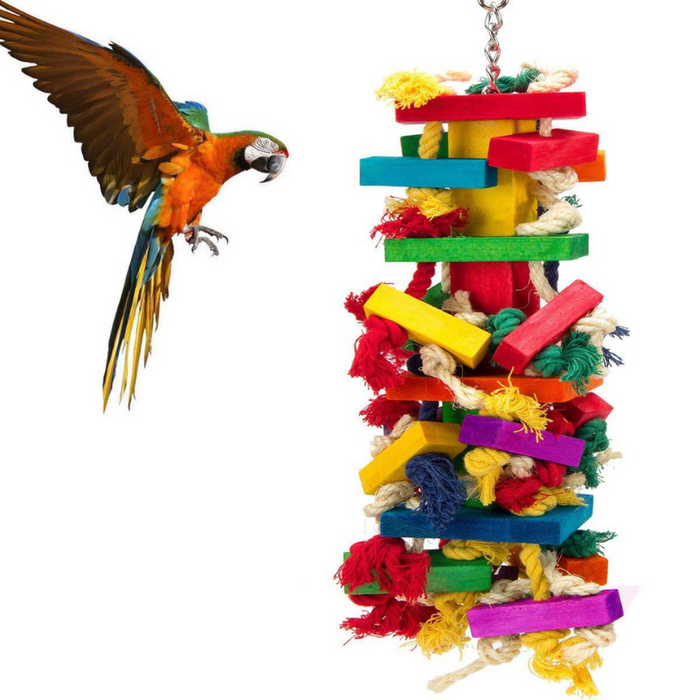 Hanging Chewing Swing Bird Toy