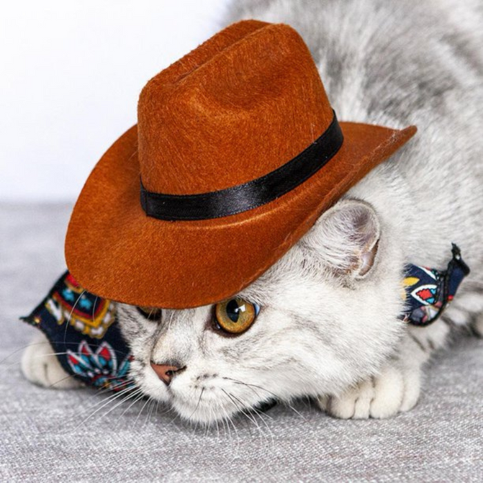 Cat Cosplay Hat