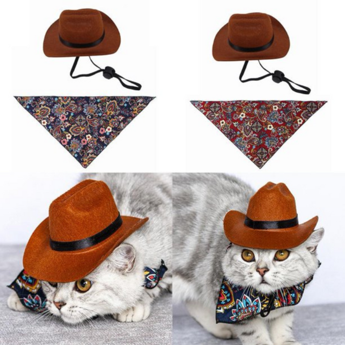 Cat Cosplay Costumes