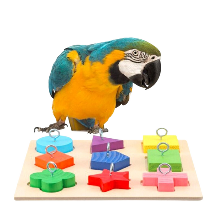 Colorful Wooden Block Bird Toy