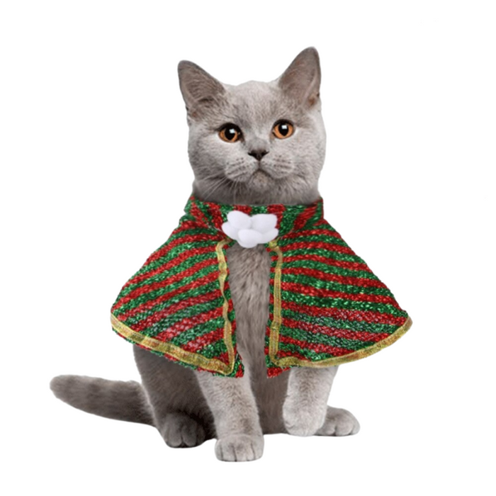Cat Christmas Clothes