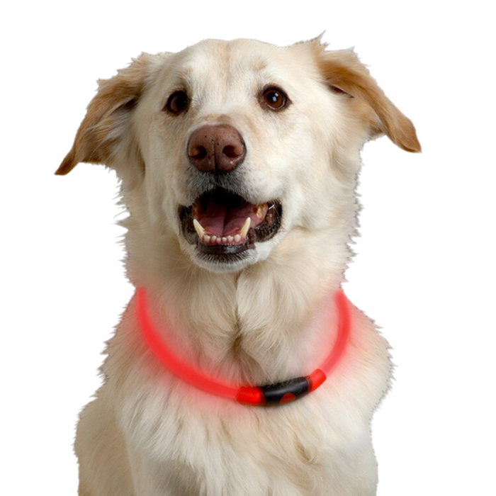 Adjustable Pet Dog LED Night Collar