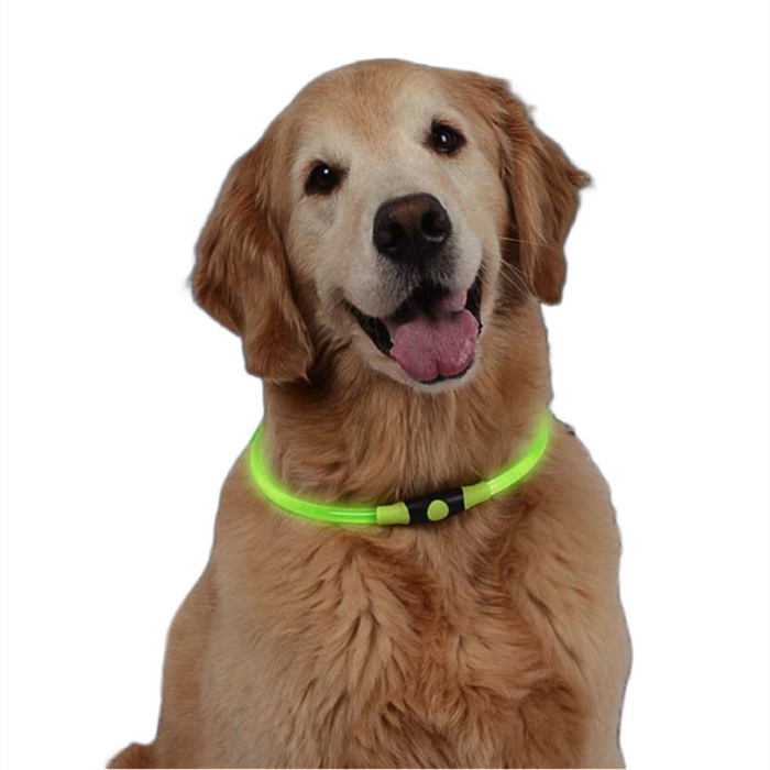 Adjustable Pet Dog LED Night Collar