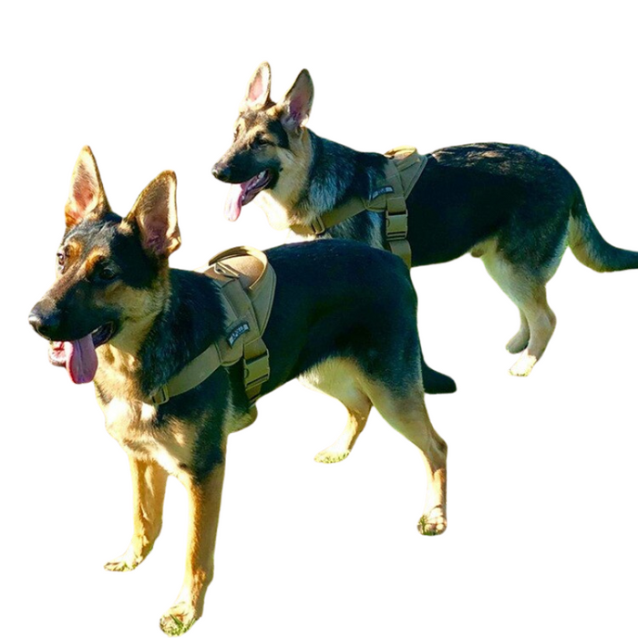 Tactical Dogs Harness Vests