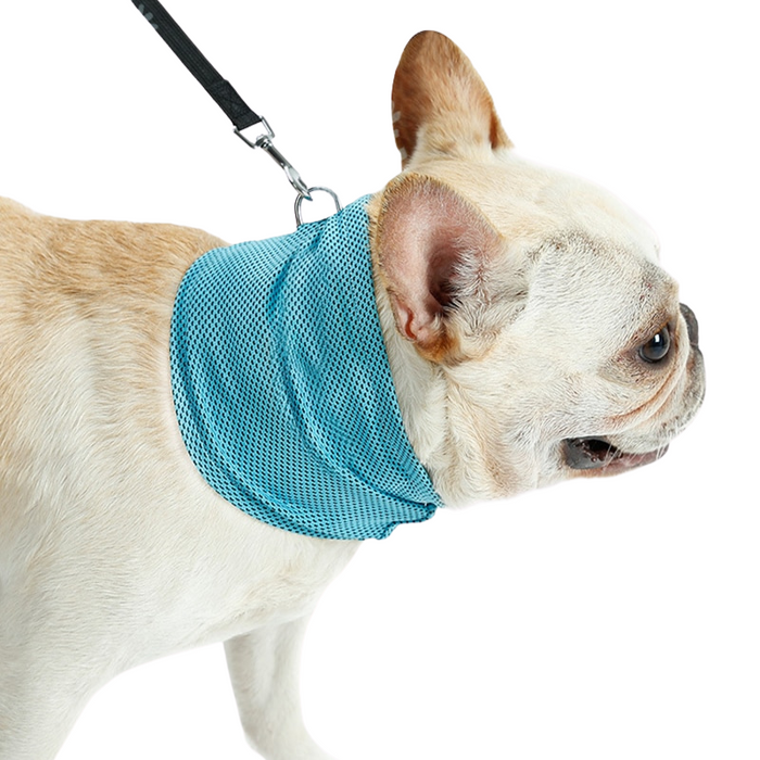 Summer Breathable Pet Cooling Scarf