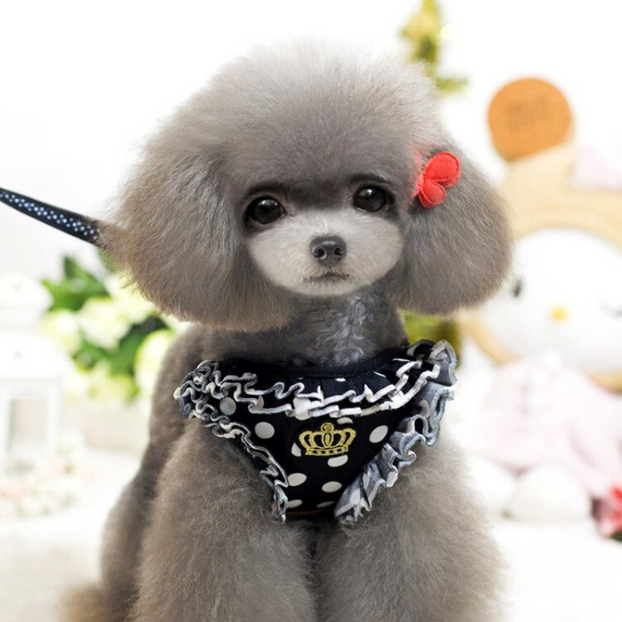Small Pet Dog Collar