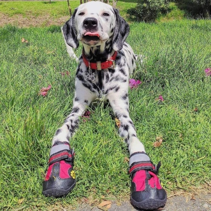 Waterproof Shoes For Dogs With Reflective Strips