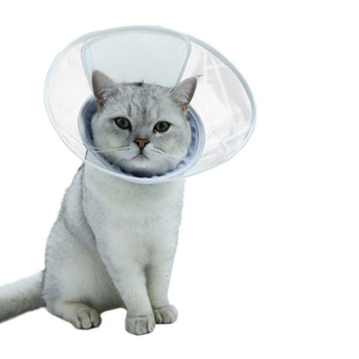 Healing Surgery Cat Collar