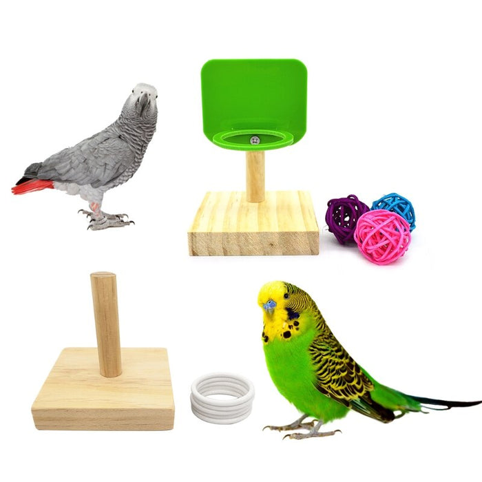 Birds Training Toy Set