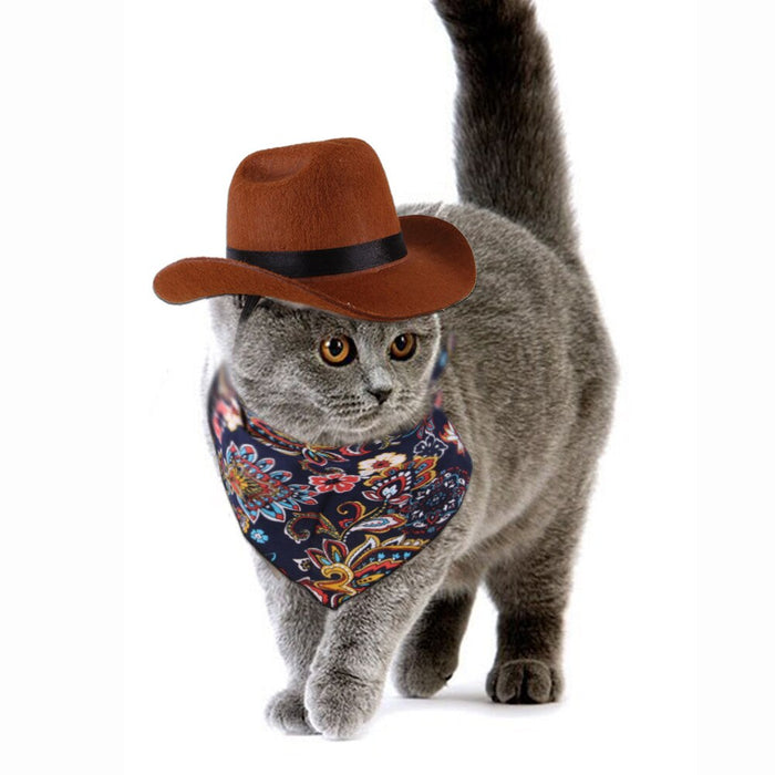Cat Cosplay Hat