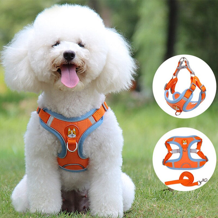 Reliable Dog Harness And Leash Set