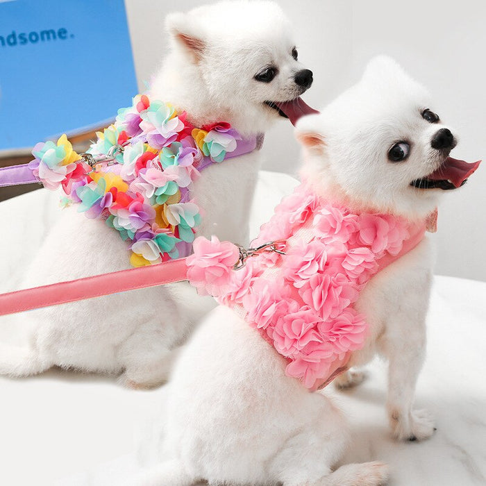 Floral Dog Harness And Leash Set