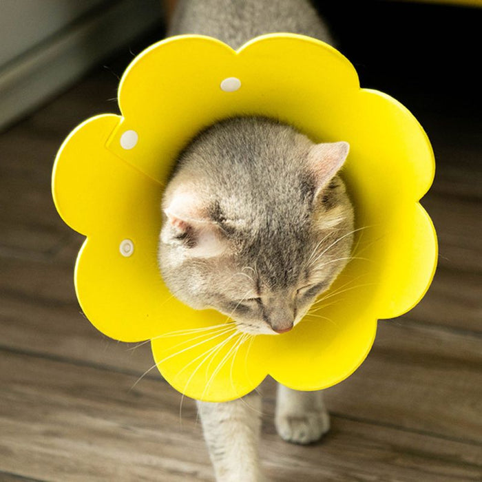 Flower Shaped Cat Neck Recovery Collar
