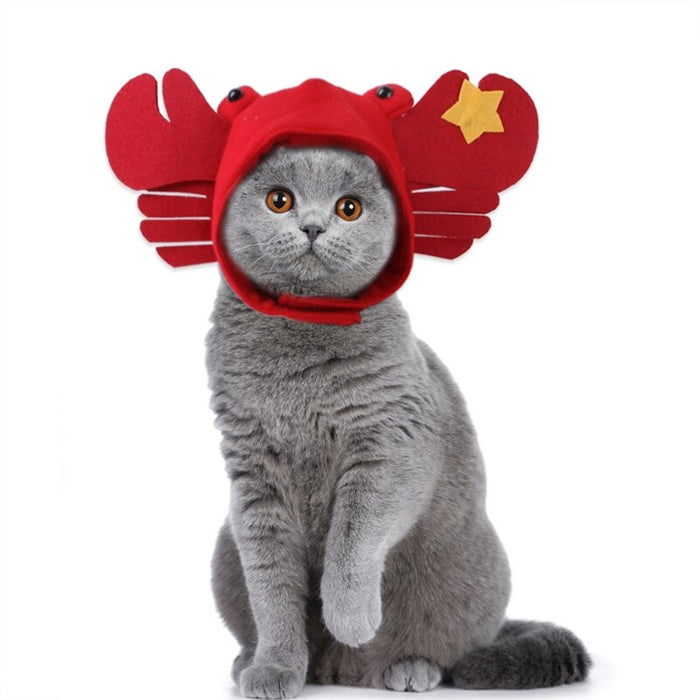 Cat Hat For Halloween Party