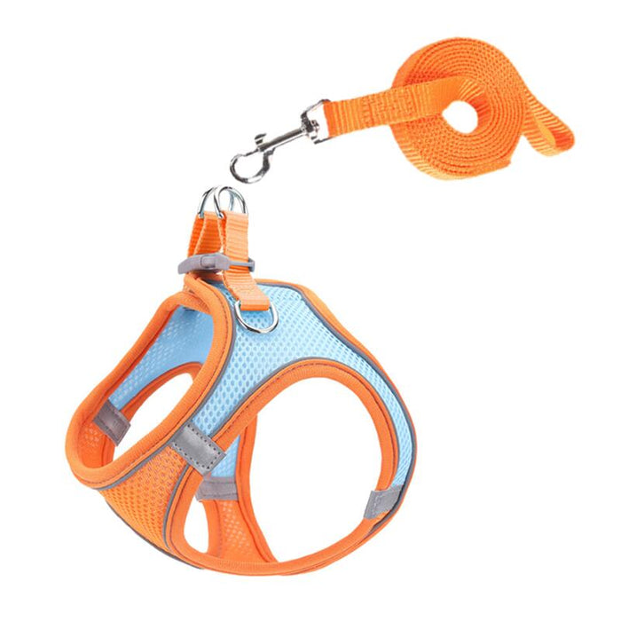 Breathable Dog Harness And Leash Set