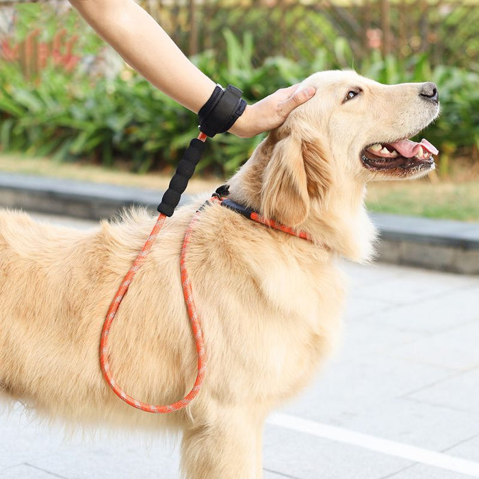 Pet Dog Harness Collar Leash