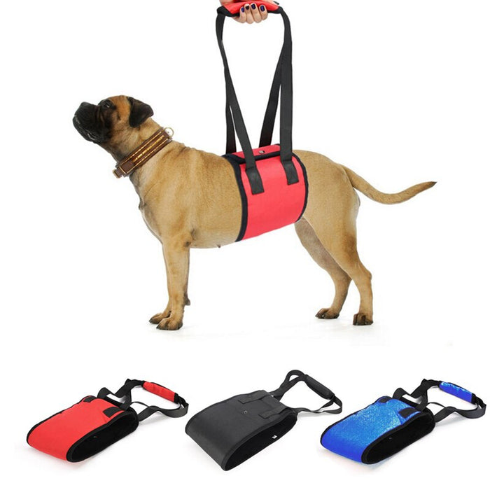 Dog Harness Lift Support Protection Belt