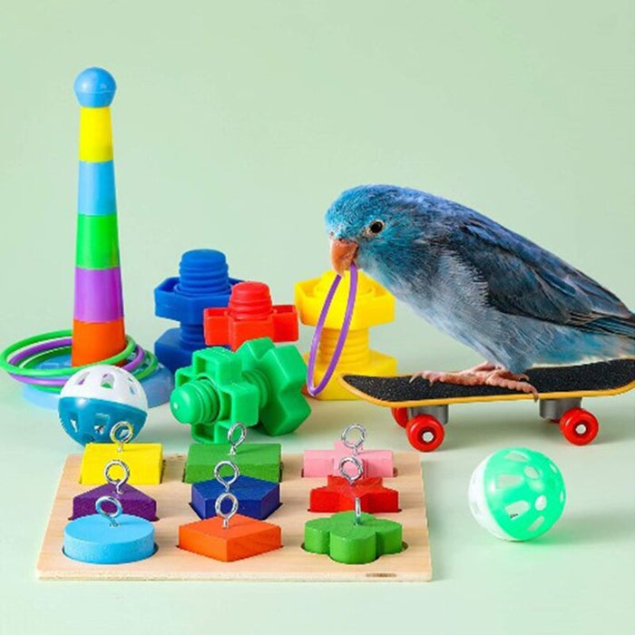 9 Pieces Bird Training Toys Set