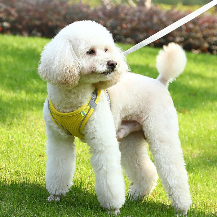 Dog Harness Vest With Leash For Small Dogs