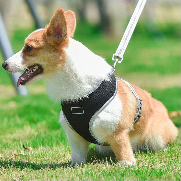 Chest Strap Adjustable Dog Harness Vest Leash