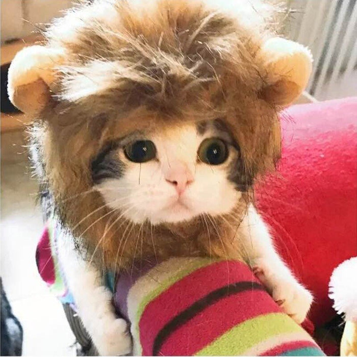 Lion Wig Costume for Cats