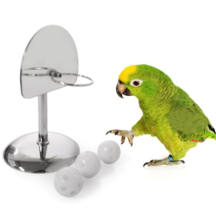 Basketball Hoop Toy For Birds