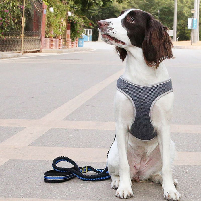 Pet Dog Harness Vest With Handle Lead