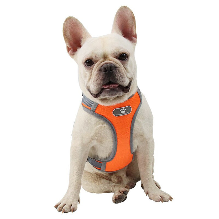 Lead Straps Breathable Dog Harnesses