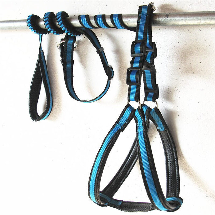 Bungee Dog Harness Leash