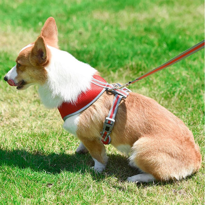 Chest Strap Adjustable Dog Harness Vest Leash