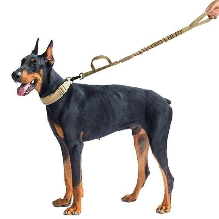 Elastic Durable Dog Leash