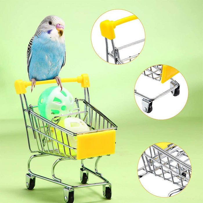 6 Piece Toys For Bird