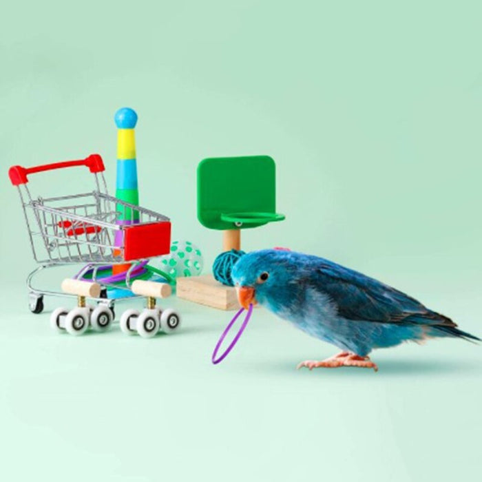 6 Piece Bird Training Toys