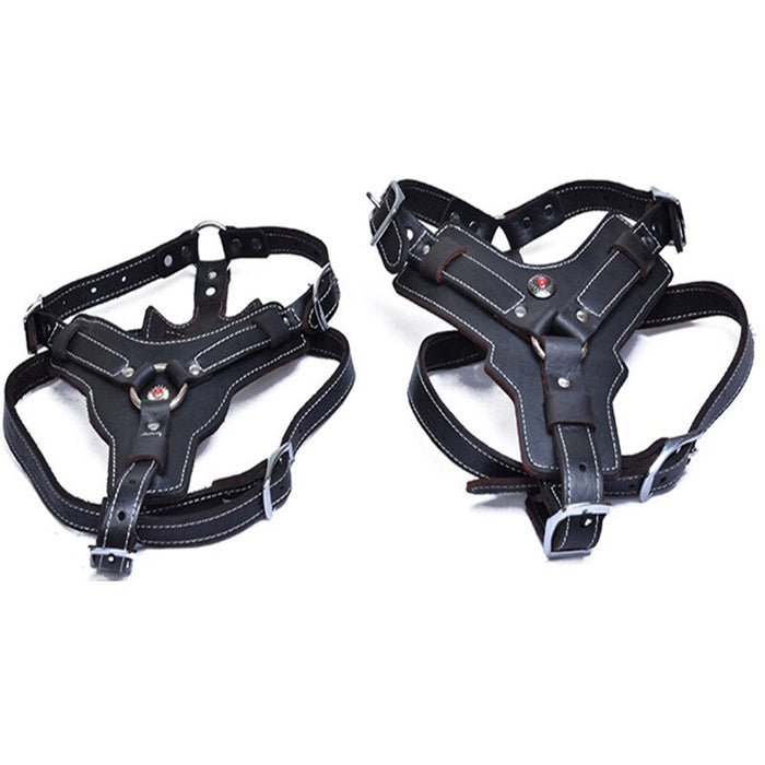 Harness Chest Strap Dogs Collar