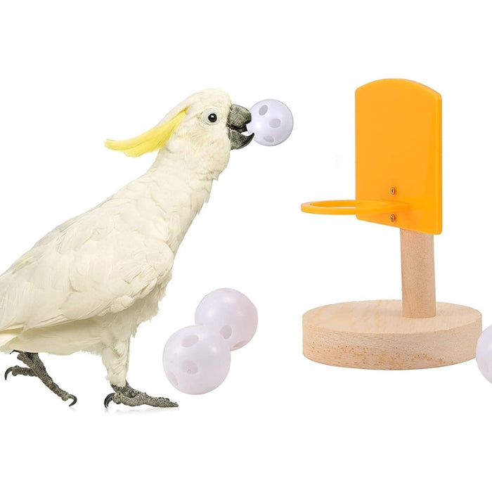 5 Piece Bird Training Toys Set