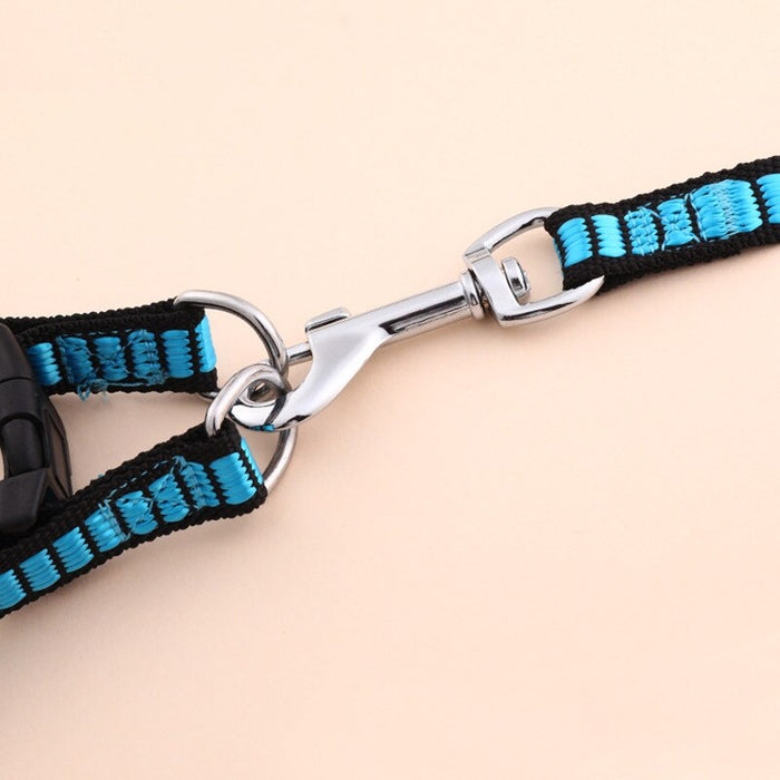 Dog Outdoor Harness And Leash Set