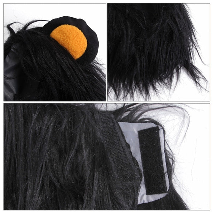 Black Lion Costume for Cats